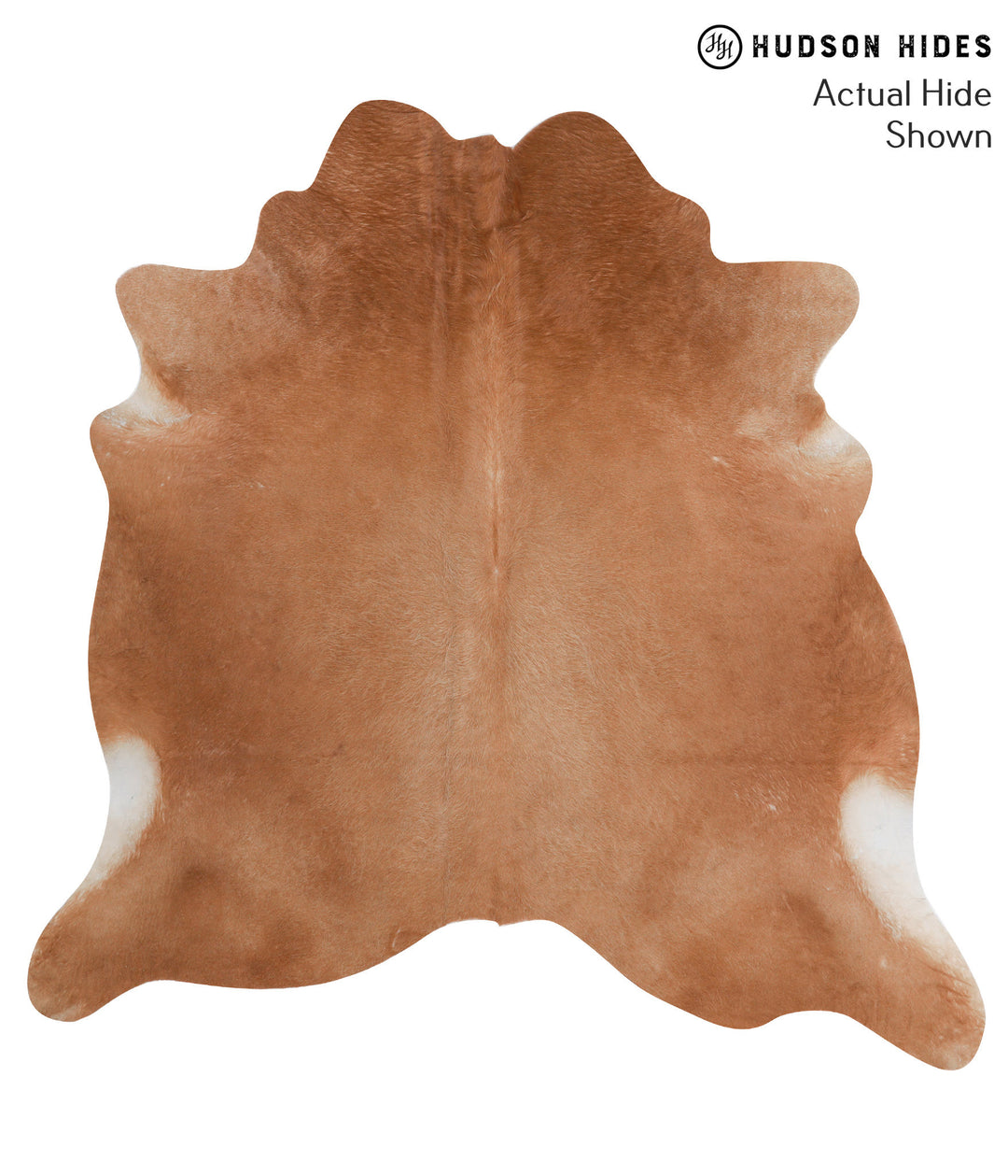 Solid Brown X-Large Brazilian Cowhide Rug 6'9"H x 6'8"W #50934 by Huds