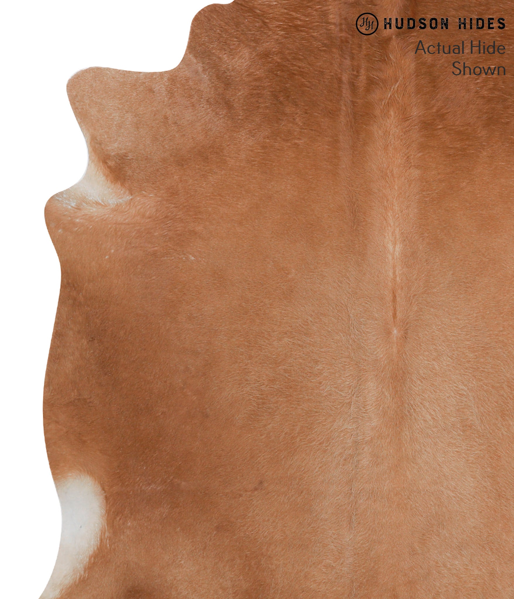 Solid Brown Cowhide Rug #50934