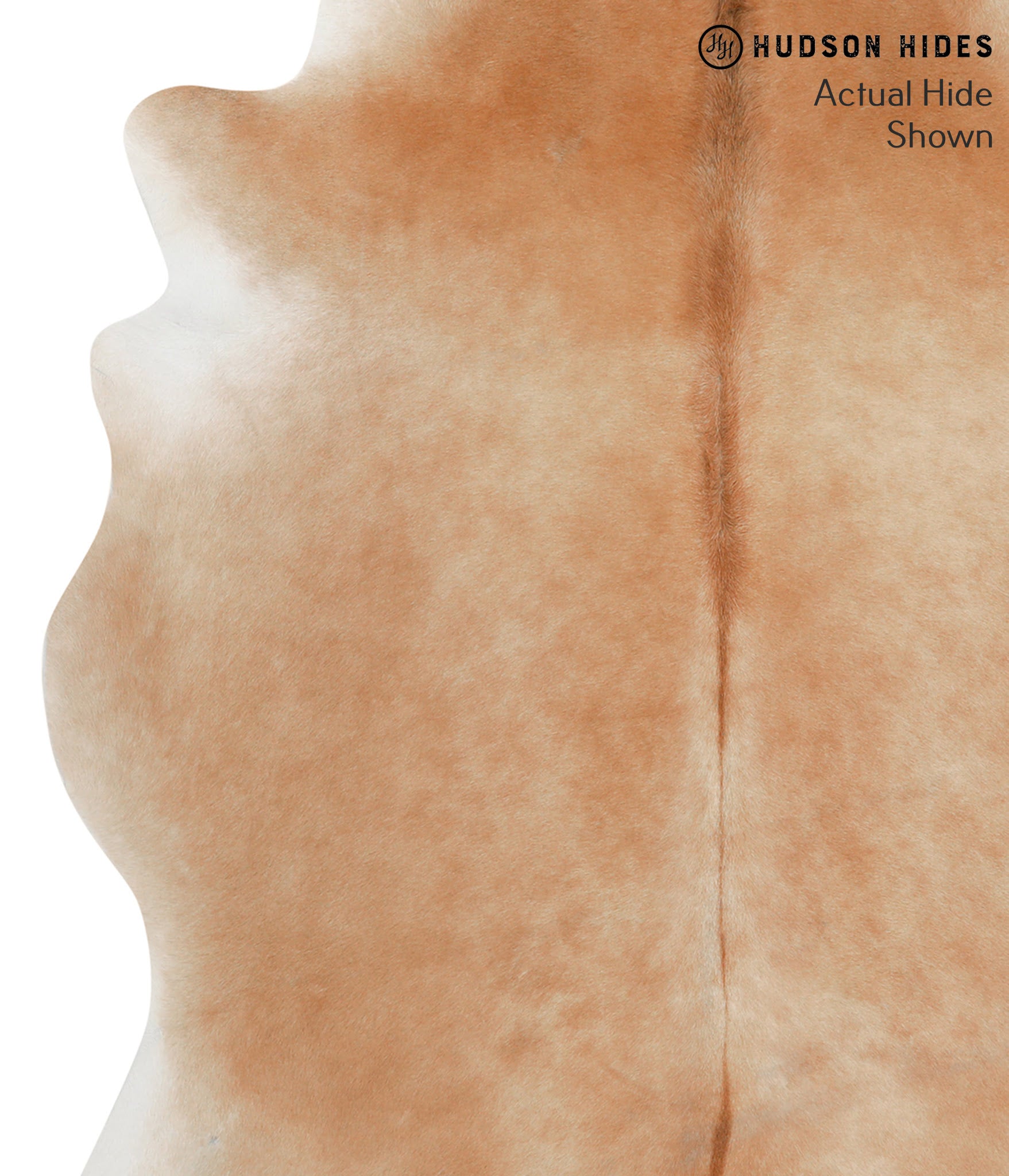 Solid Brown Cowhide Rug #50961