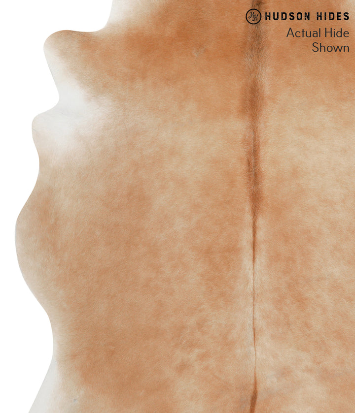 Solid Brown X-Large Brazilian Cowhide Rug 6'11"H x 5'11"W #50961 by Hudson Hides