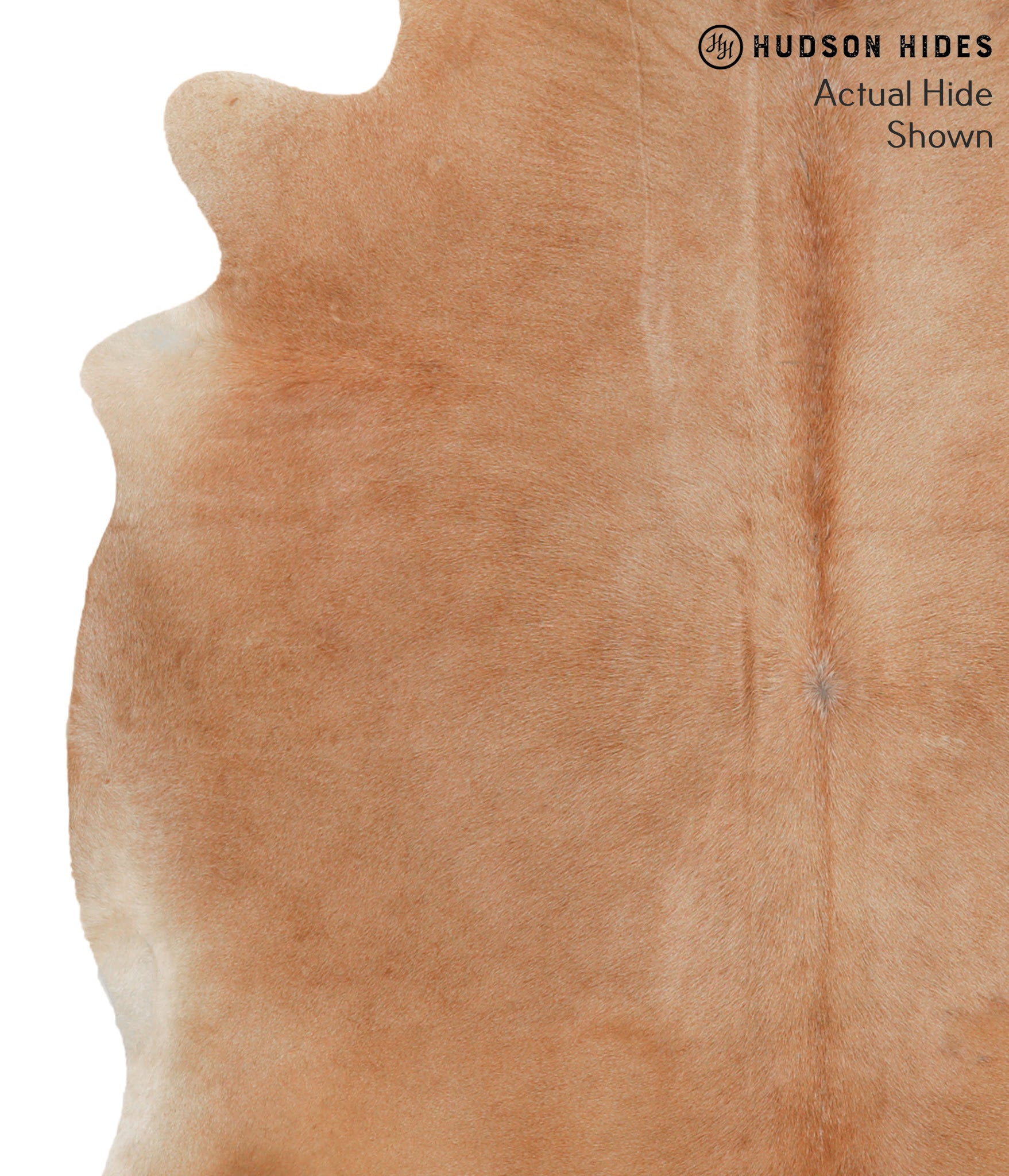 Solid Brown Cowhide Rug #50992