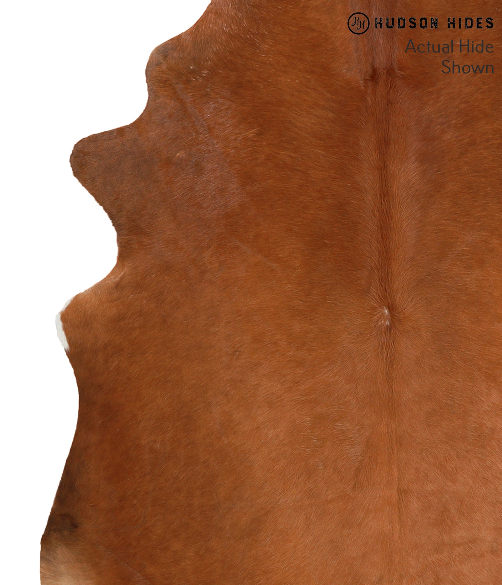 Solid Brown Cowhide Rug #51033