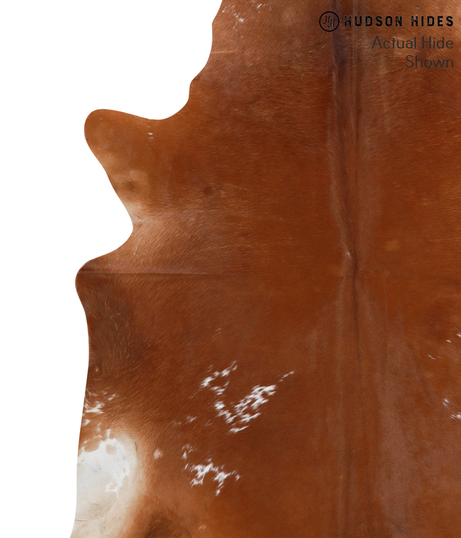 Brown and White Regular Cowhide Rug #51043