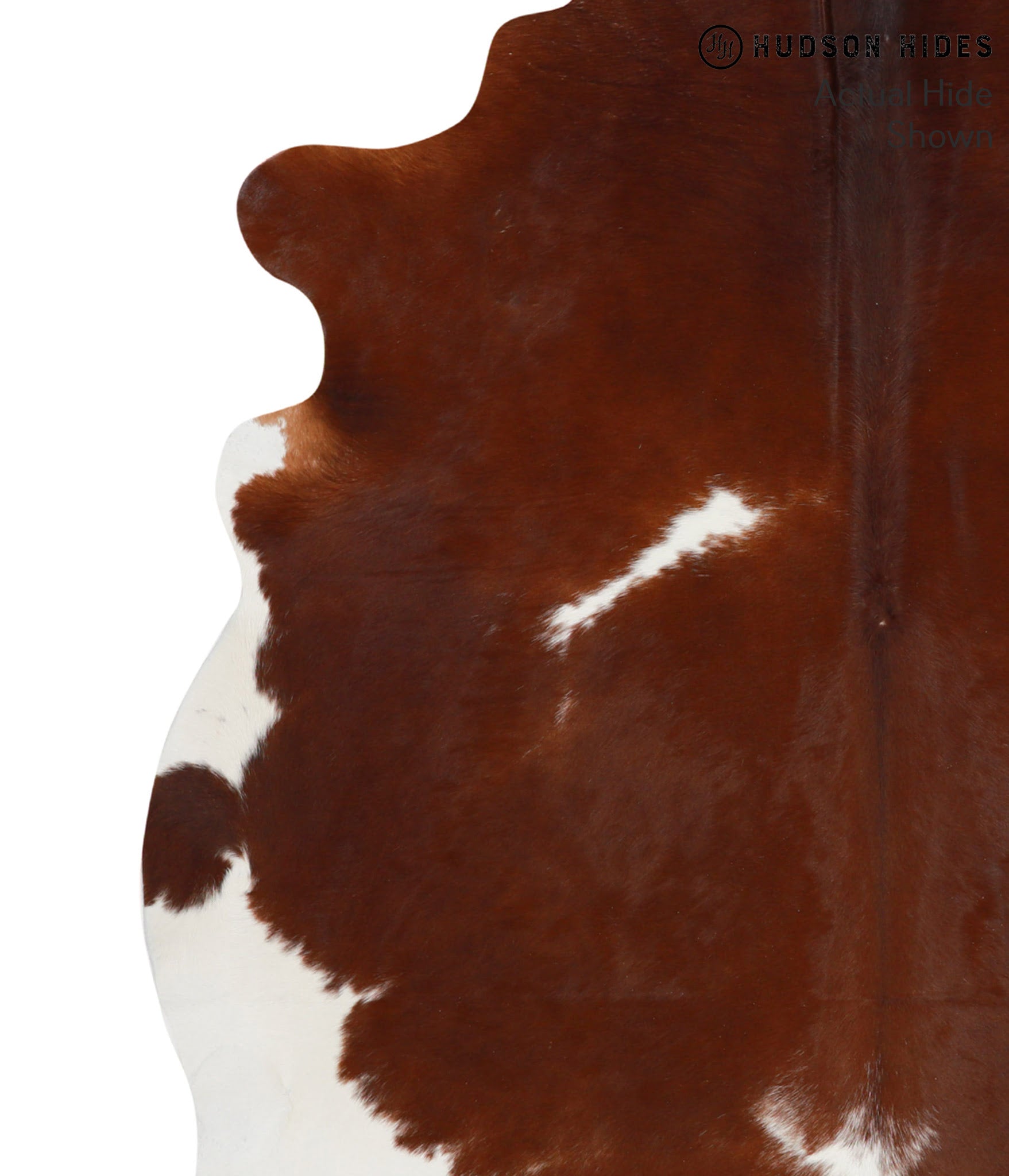 Brown and White Cowhide Rug #51114