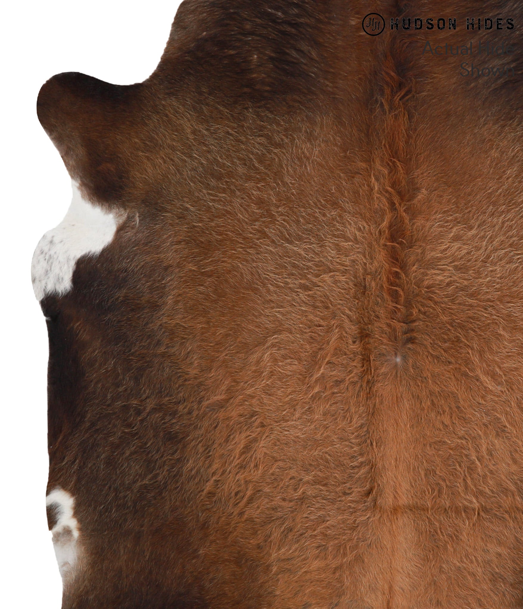 Chocolate Cowhide Rug #51302