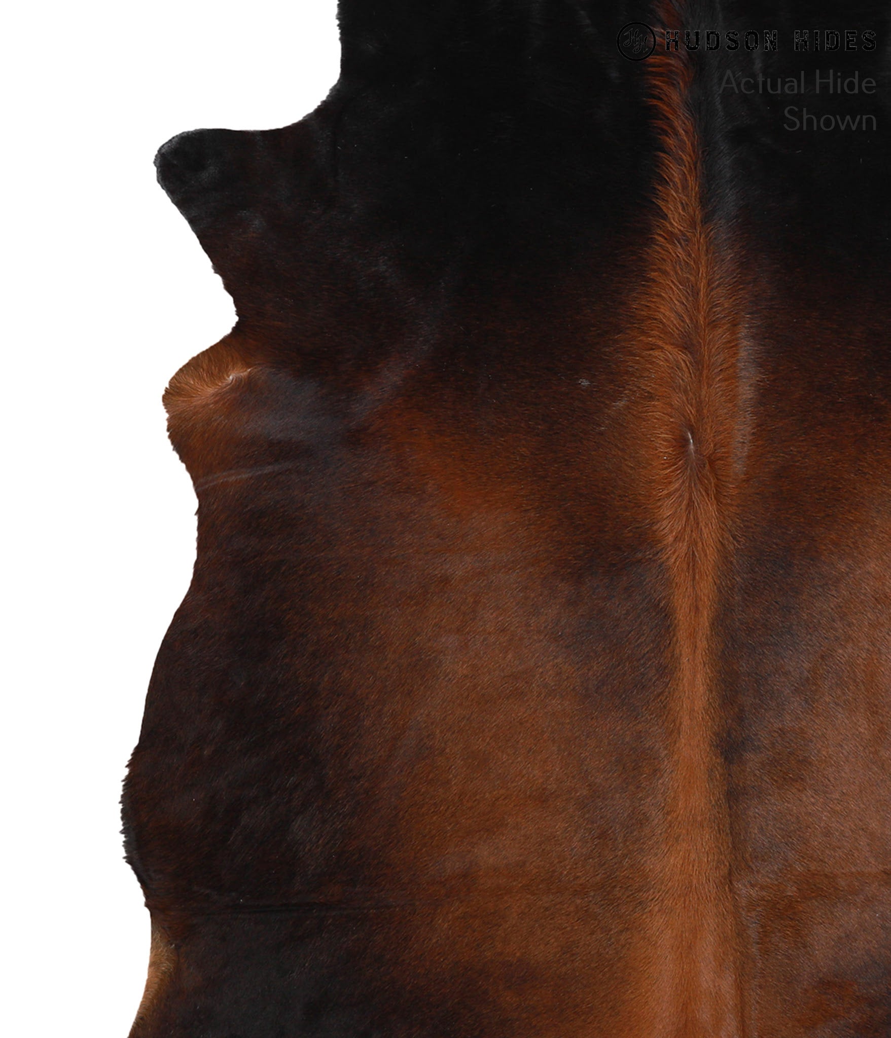 Chocolate Cowhide Rug #51313