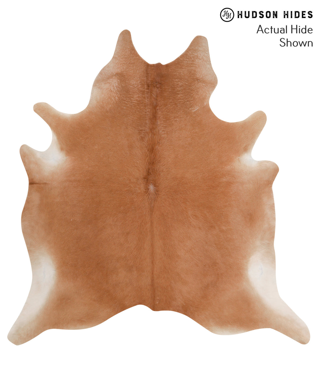 Solid Brown XX-Large Brazilian Cowhide Rug 7'4"H x 7'1"W #51431 by Hud