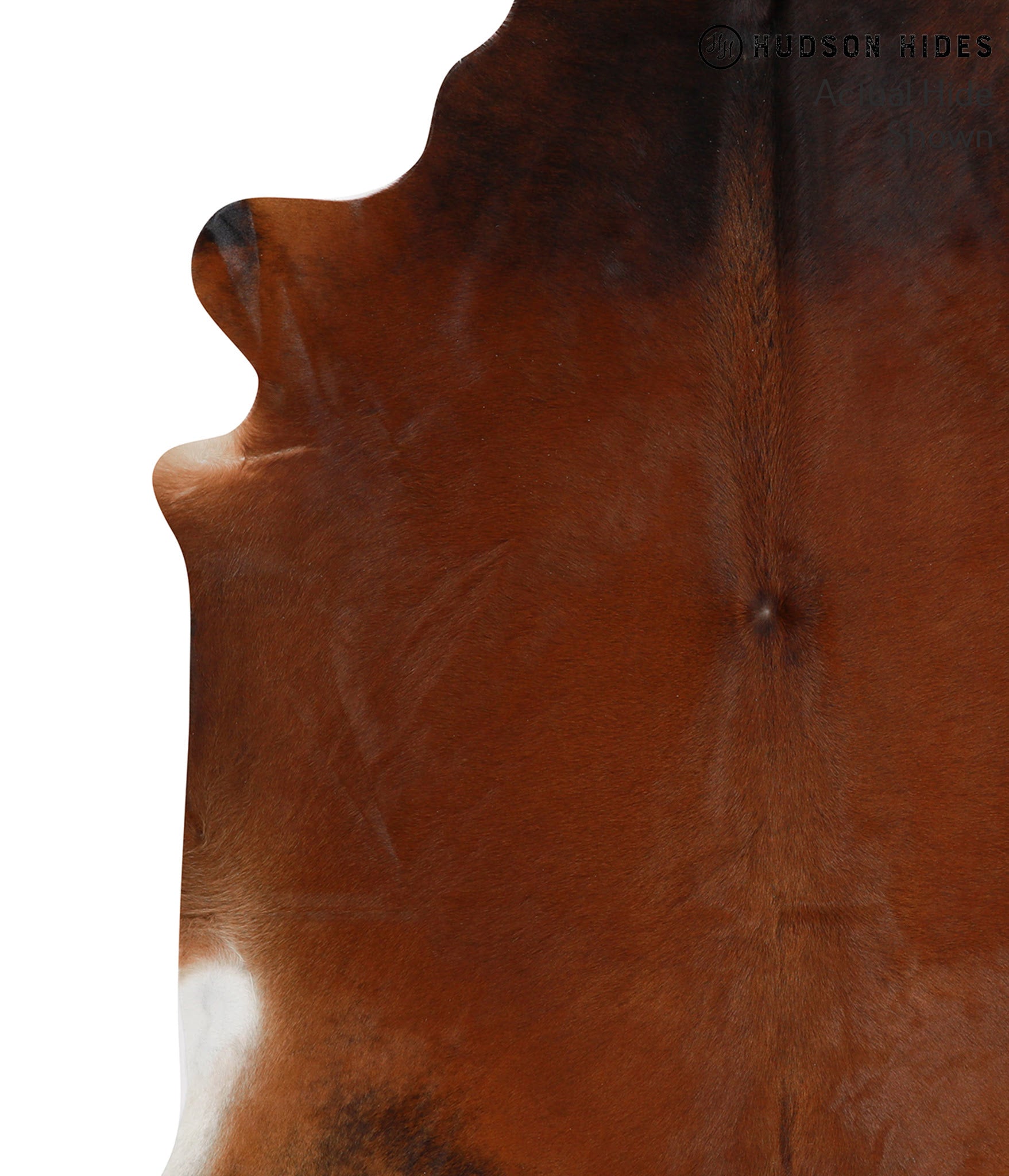 Brown with Red Cowhide Rug #51505