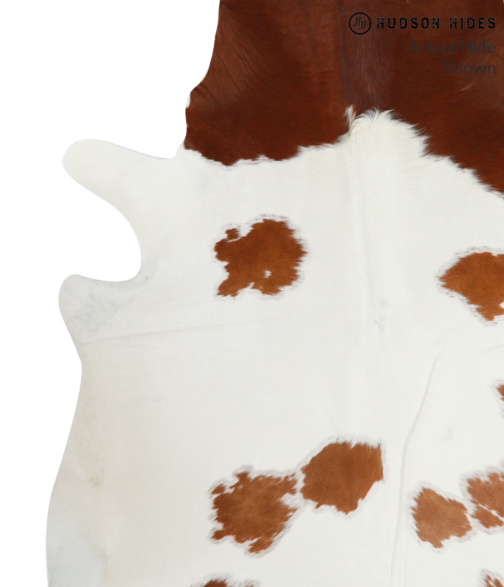Brown and White Cowhide Rug #51629