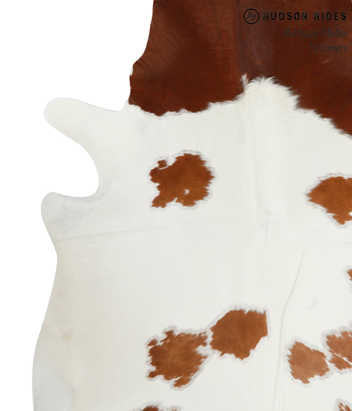 Brown and White X-Large Brazilian Cowhide Rug 7'7"H x 6'5"W #51629 by Hudson Hides