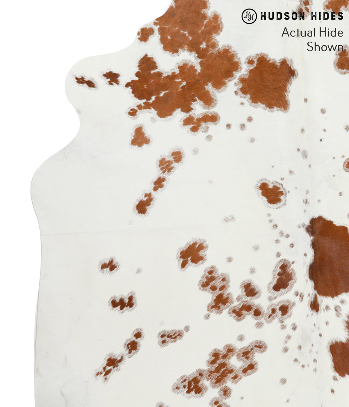Brown and White X-Large Brazilian Cowhide Rug 6'4"H x 6'7"W #51634 by Hudson Hides