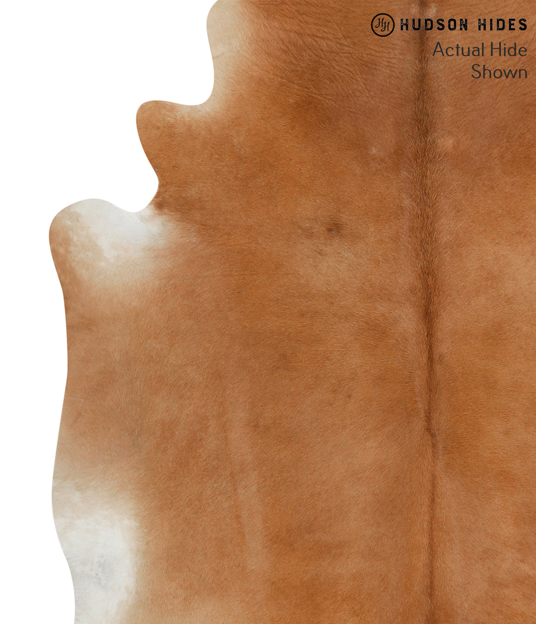 Solid Brown X-Large Brazilian Cowhide Rug 7'2"H x 6'0"W #51872 by Huds