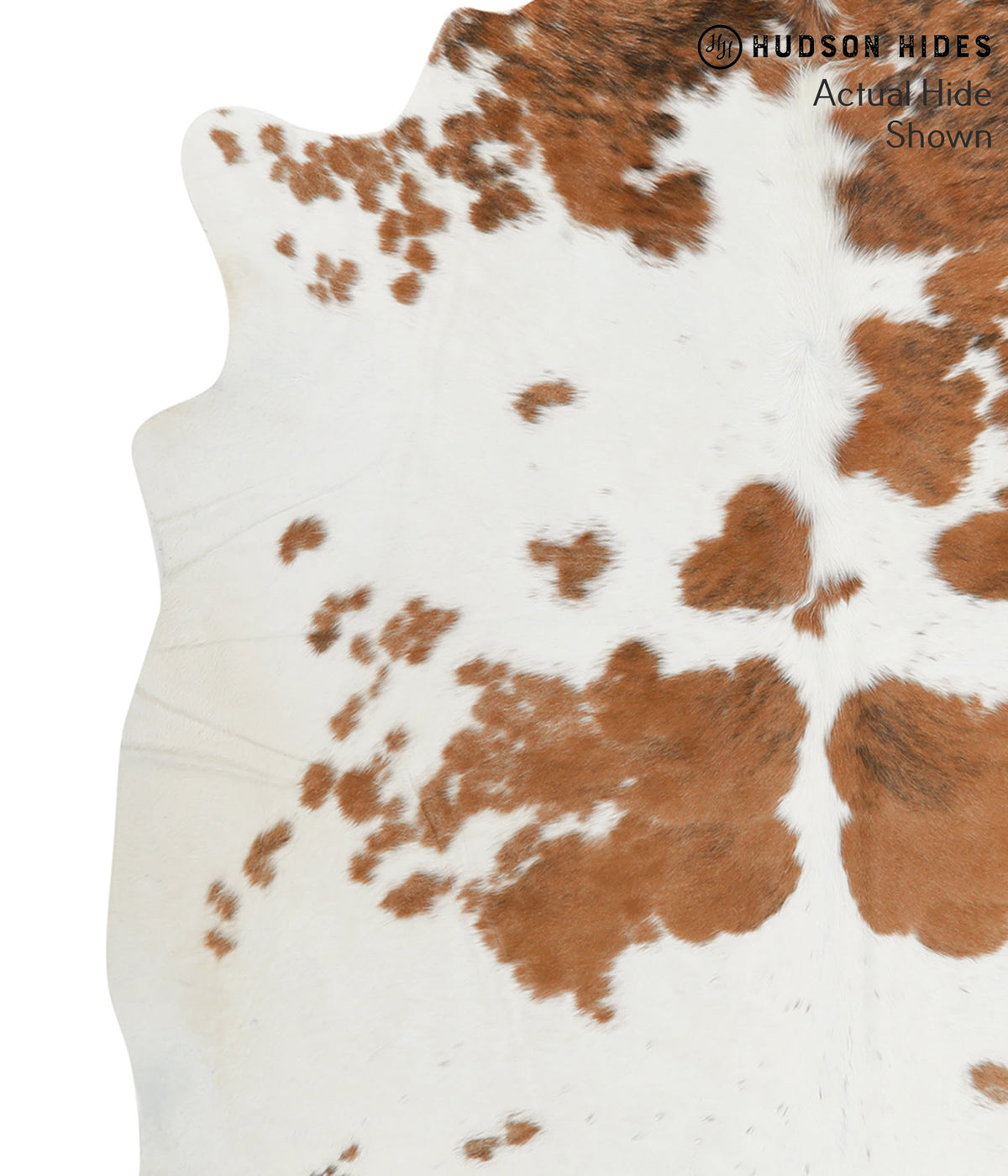 Brown and White XX-Large Brazilian Cowhide Rug 7'1"H x 7'3"W #51923 by Hudson Hides