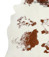 Brown and White X-Large Brazilian Cowhide Rug 6'9"H x 6'7"W #51953 by Hudson Hides