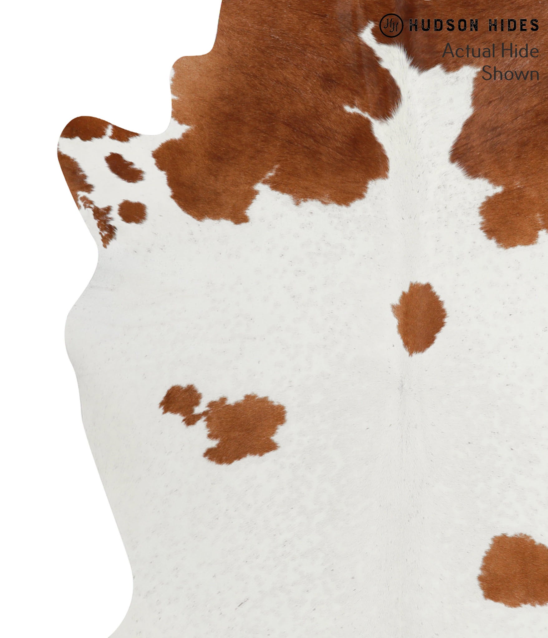 Brown and White Cowhide Rug #51968