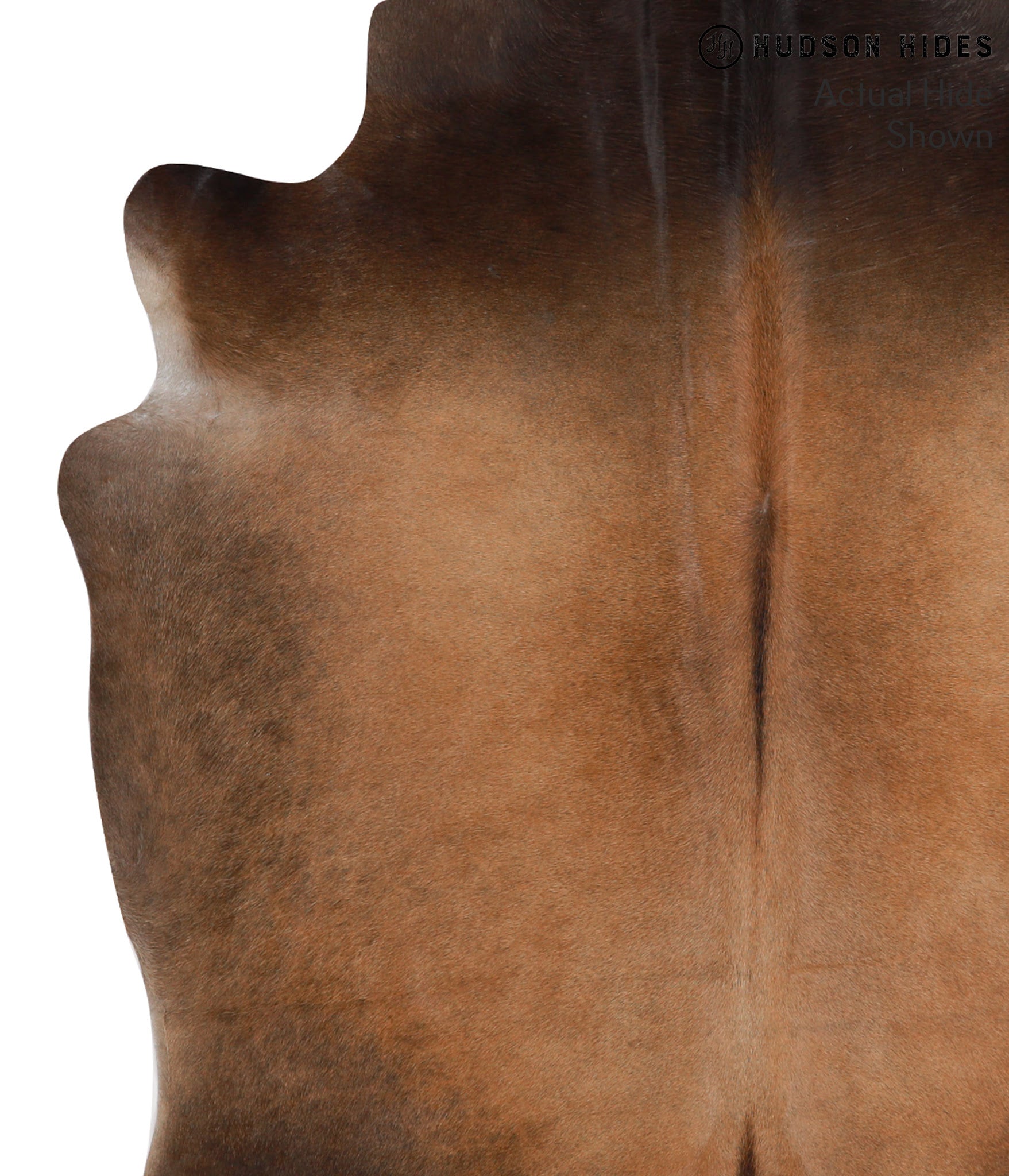 Brown with Red Cowhide Rug #52367
