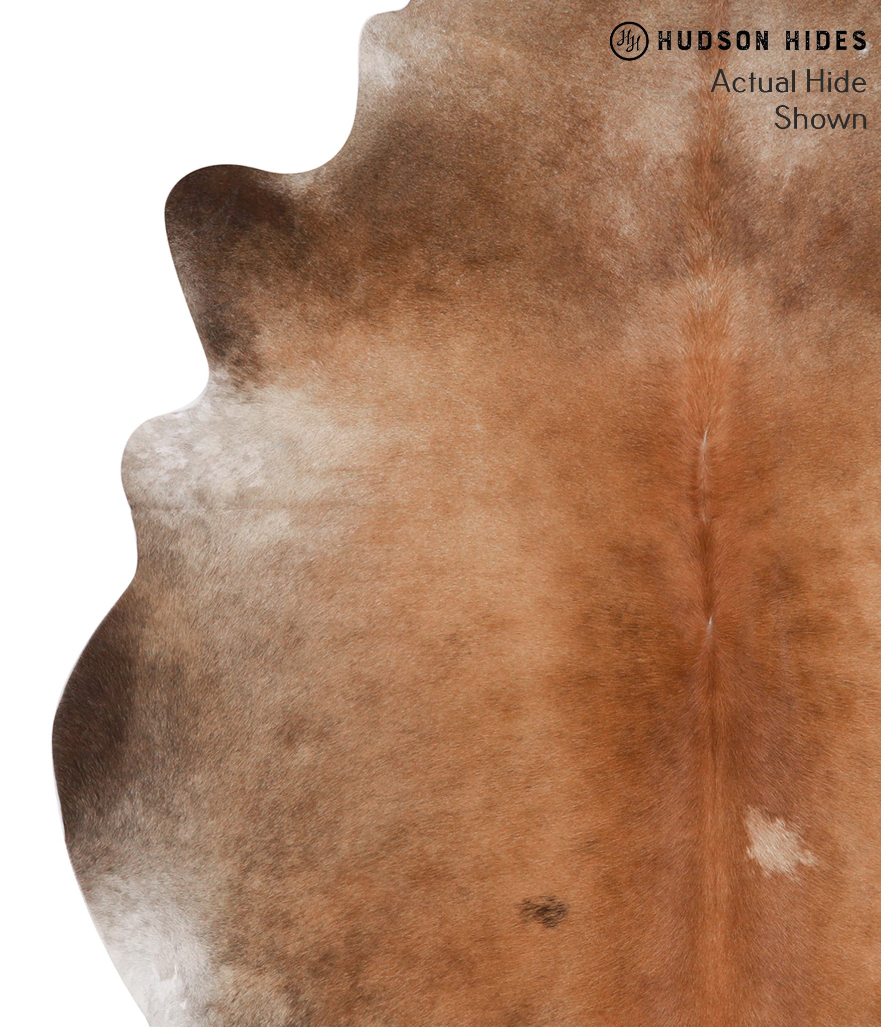 Brown with Red Cowhide Rug #52463
