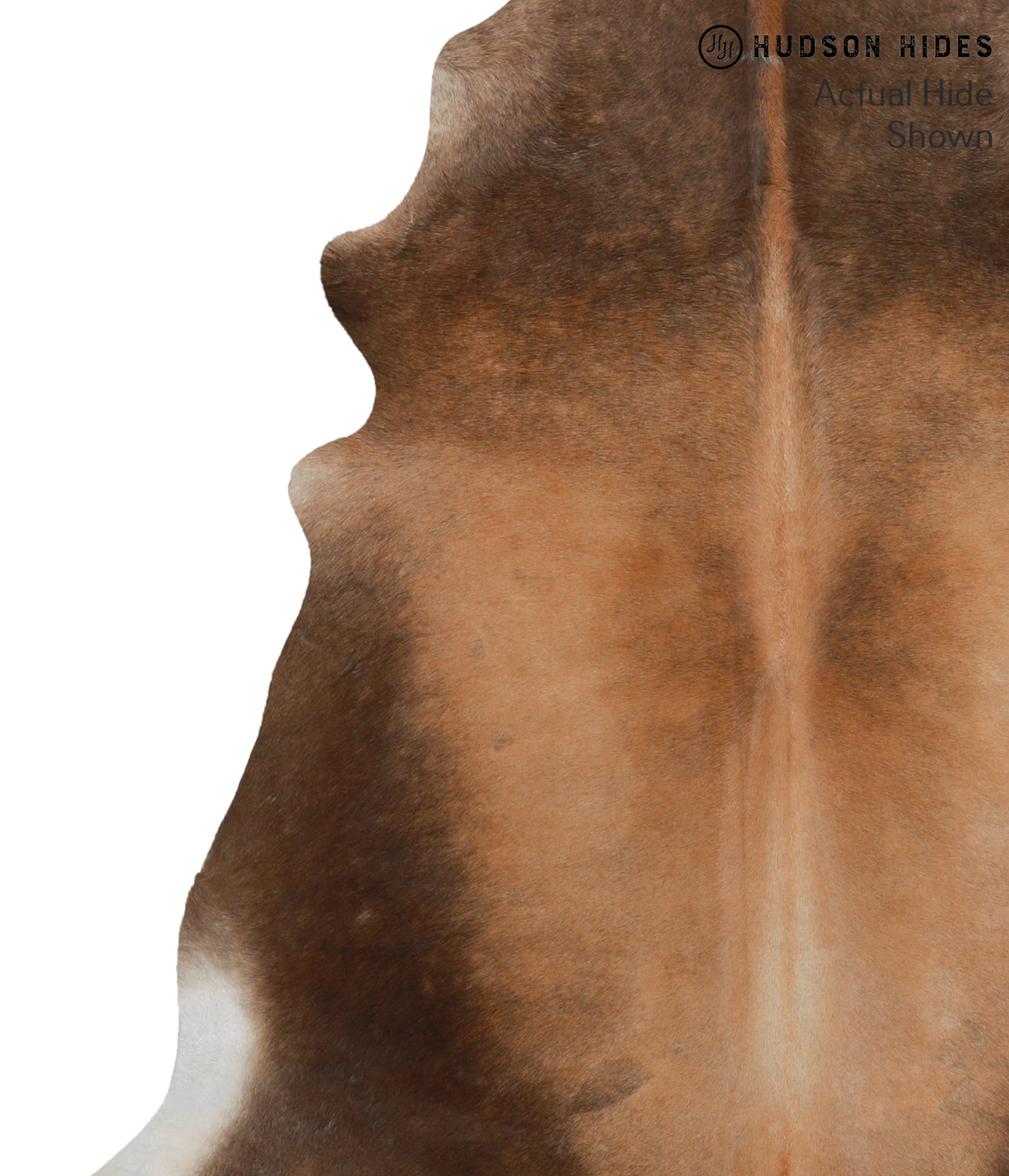 Brown with Red Cowhide Rug #52573