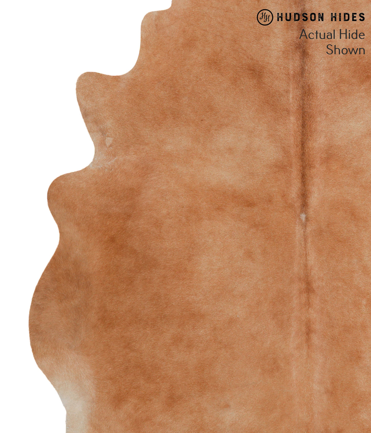 Solid Brown X-Large Brazilian Cowhide Rug 6'9"H x 6'7"W #52701 by Hudson Hides