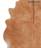 Solid Brown X-Large Brazilian Cowhide Rug 6'9"H x 6'7"W #52701 by Hudson Hides