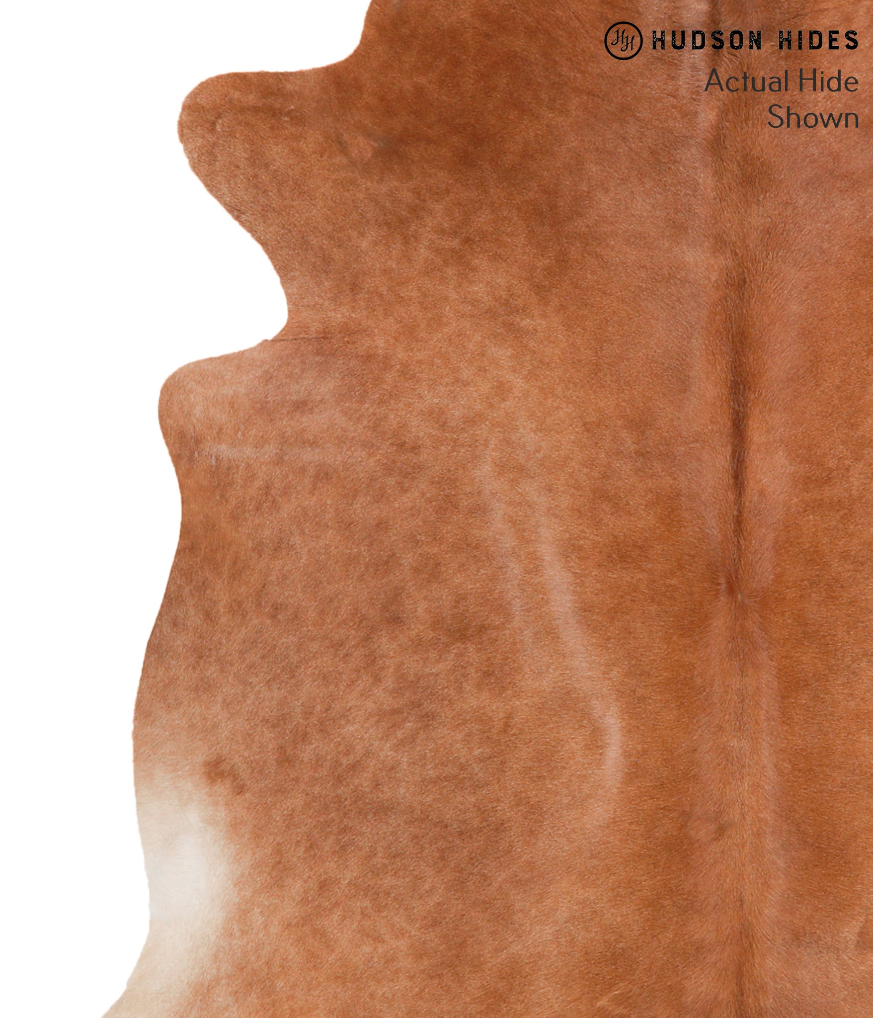 Solid Brown Cowhide Rug #64948