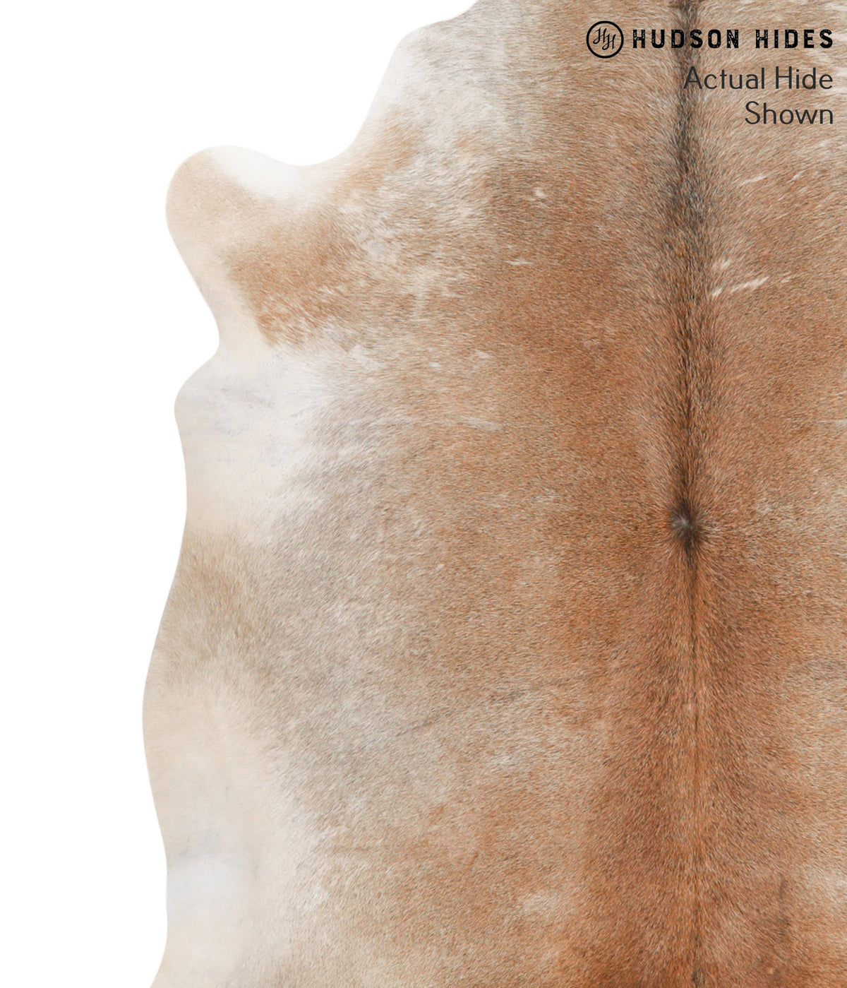 Grey with Beige X-Large Brazilian Cowhide Rug 7'0"H x 6'9"W #64995 by Hudson Hides