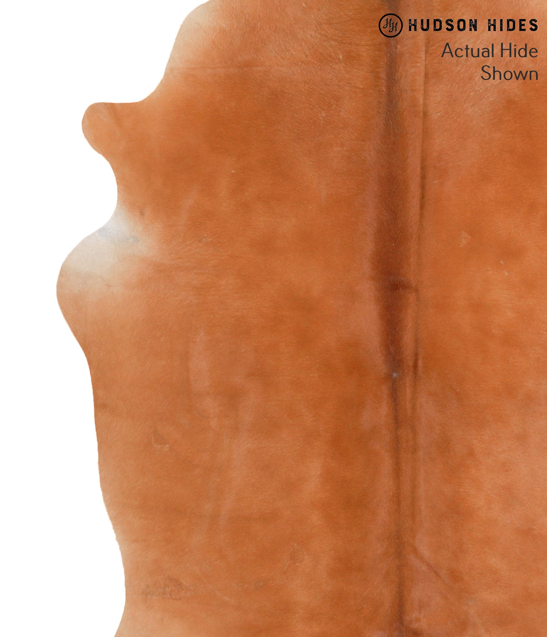 Solid Brown Cowhide Rug #64996