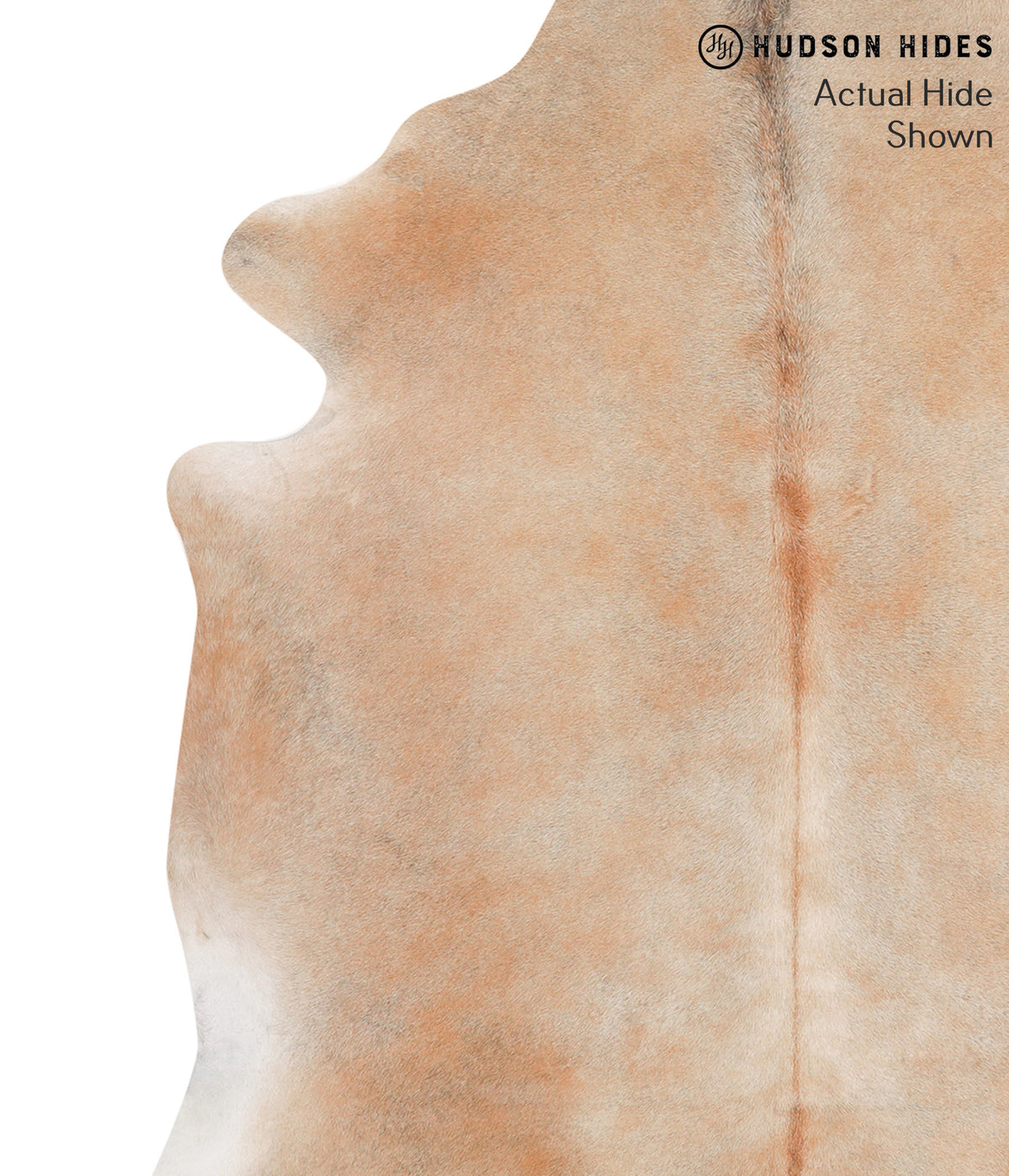 Grey with Beige X-Large Brazilian Cowhide Rug 6'8"H x 6'3"W #65015 by Hudson Hides