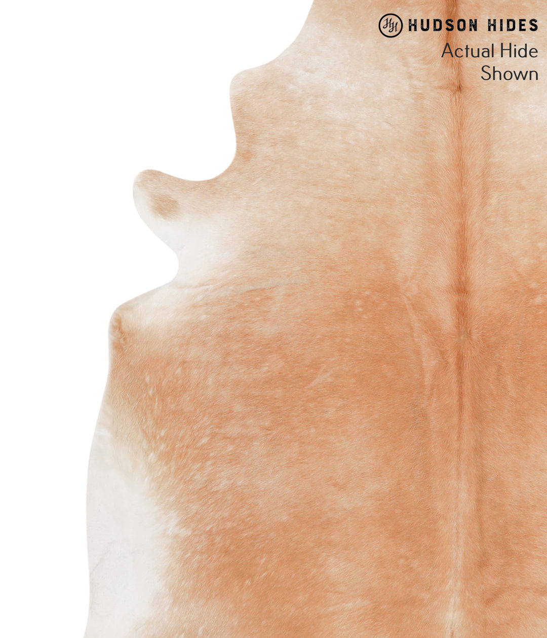 Beige X-Large Brazilian Cowhide Rug 6'11"H x 7'1"W #65144 by Hudson Hi