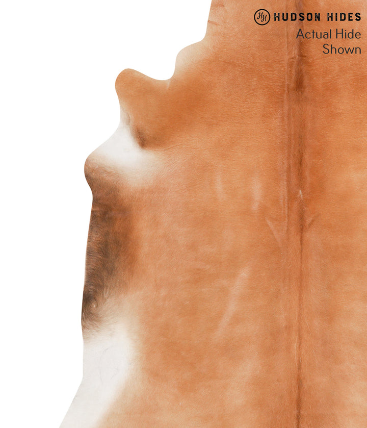 Solid Brown X-Large Brazilian Cowhide Rug 6'11"H x 6'8"W #65204 by Hudson Hides