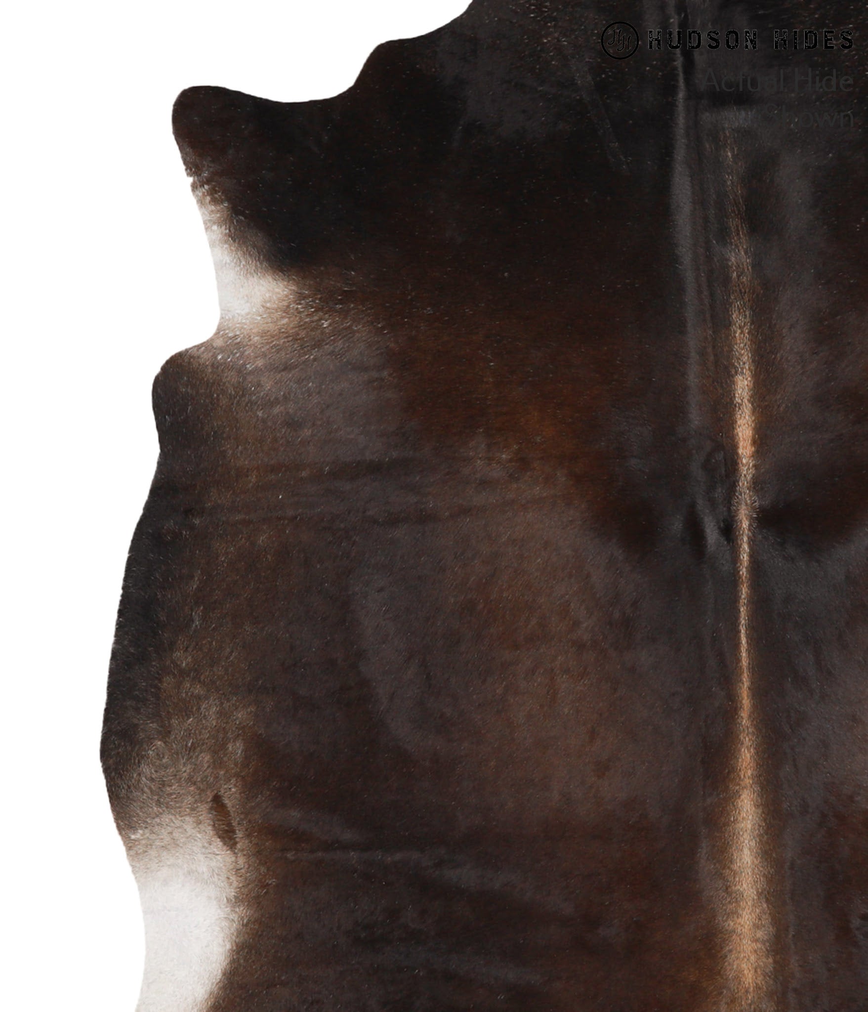 Chocolate Cowhide Rug #65222