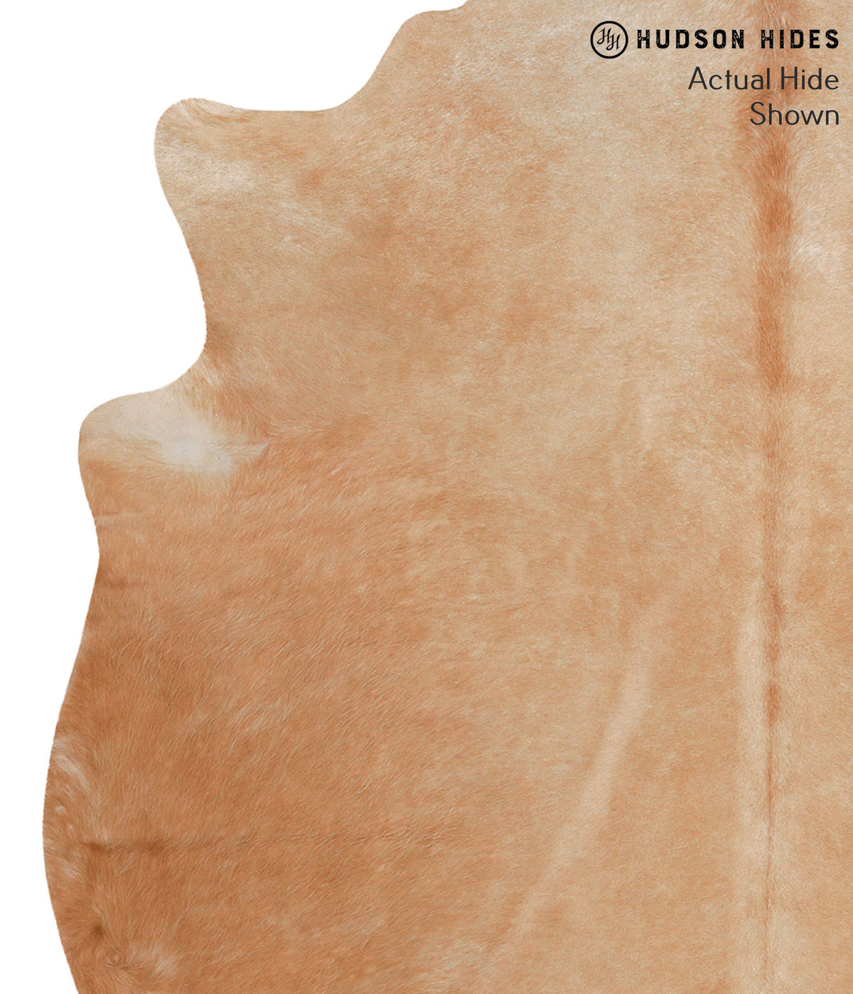 Solid Brown X-Large Brazilian Cowhide Rug 6'6"H x 6'4"W #65382 by Hudson Hides