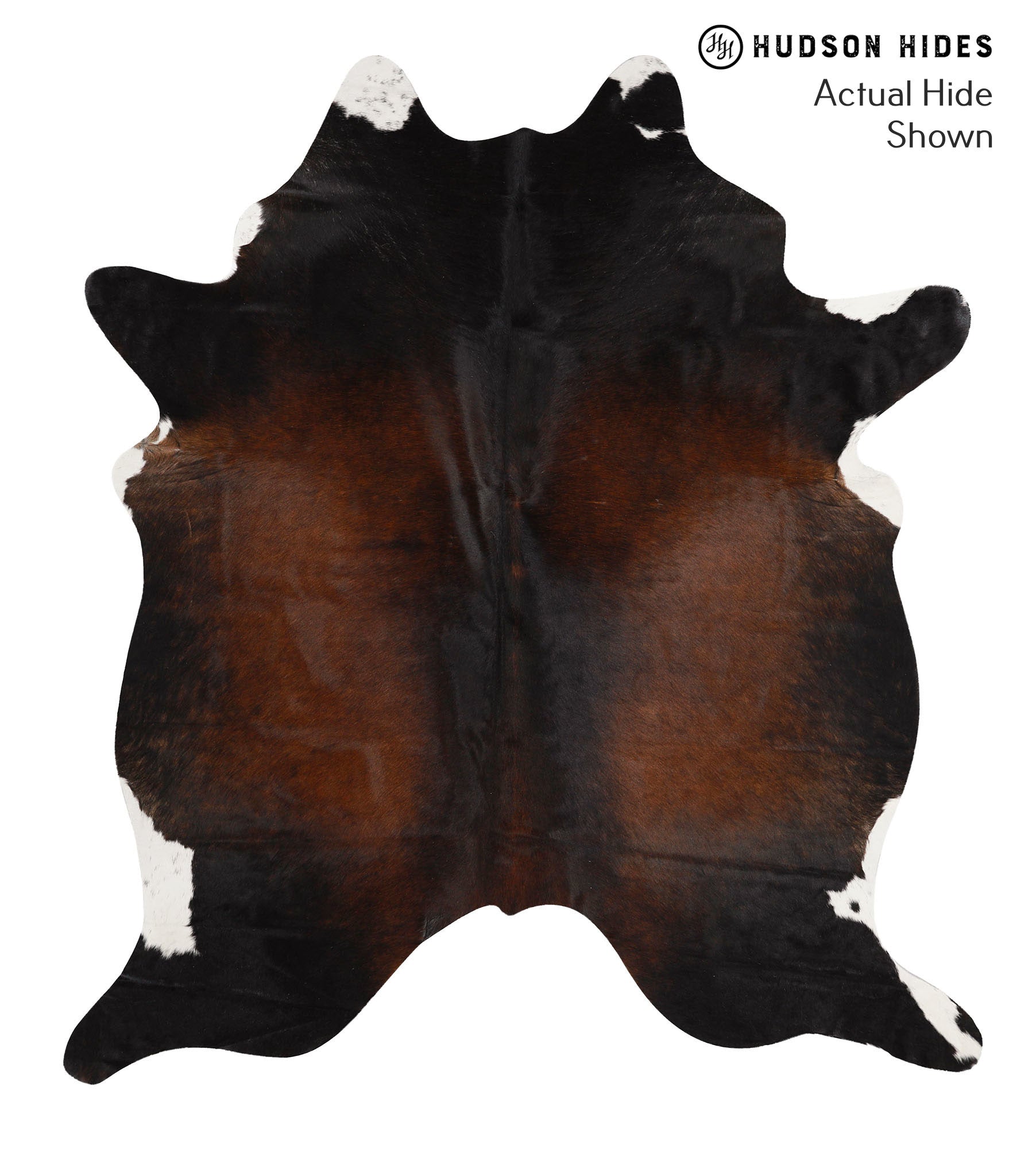 Chocolate and White Cowhide Rug #65475