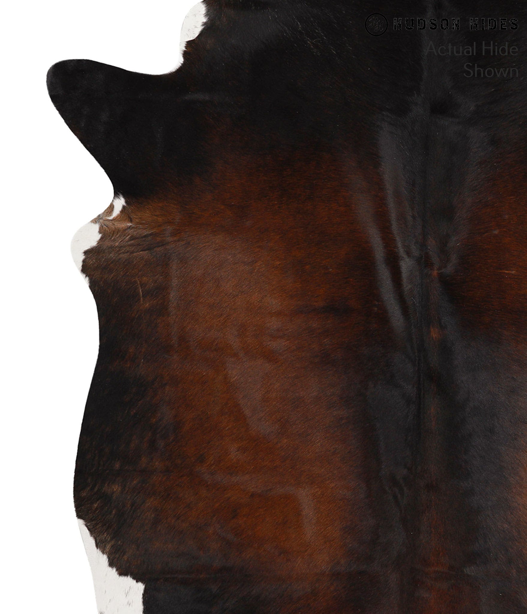 Chocolate and White Cowhide Rug #65475