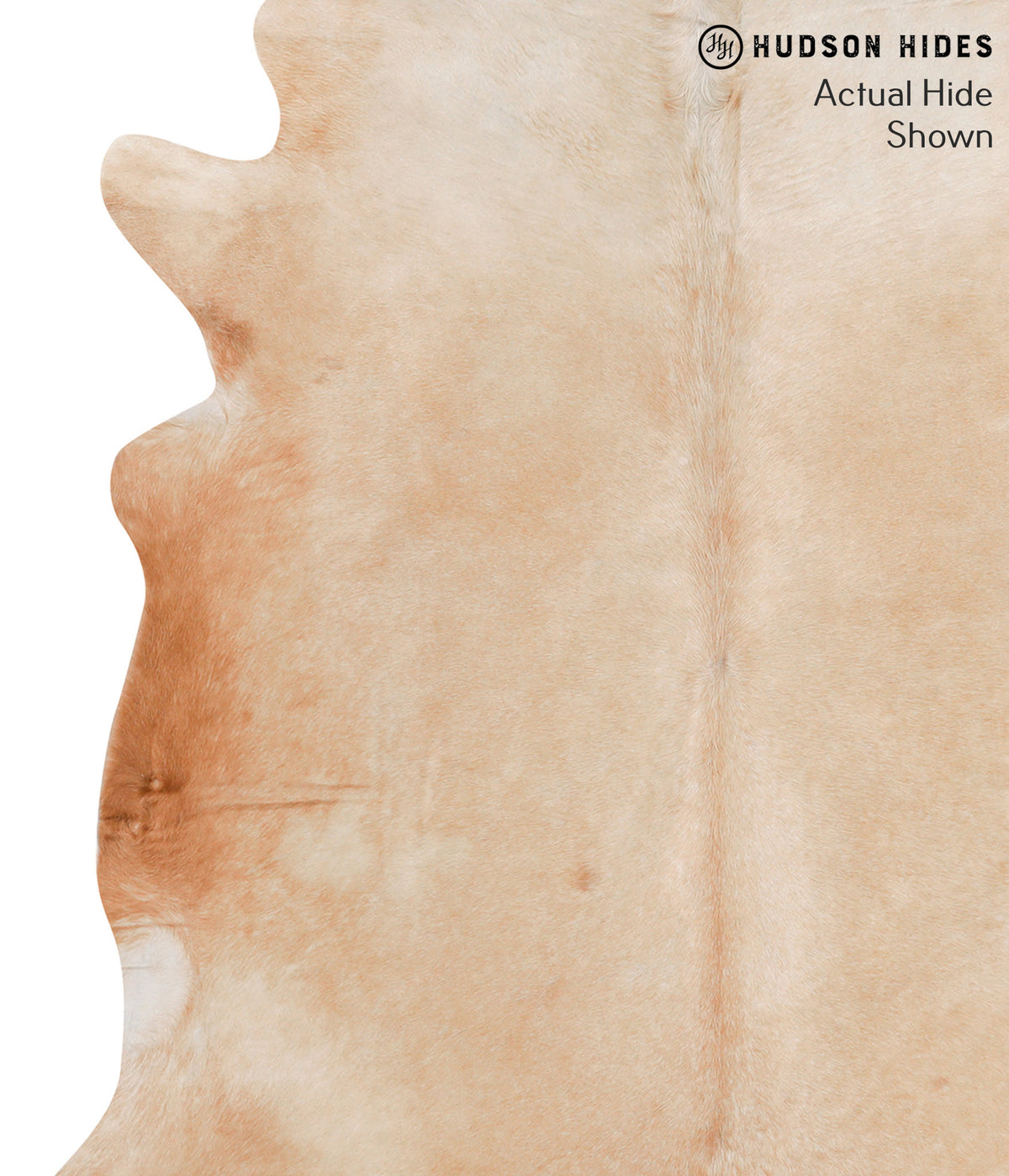 Beige X-Large Brazilian Cowhide Rug 6'10"H x 6'4"W #65671 by Hudson Hides