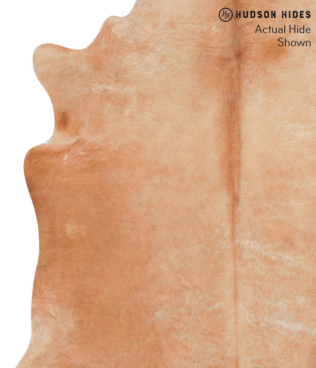 Solid Brown X-Large Brazilian Cowhide Rug 6'10"H x 7'0"W #65708 by Hudson Hides