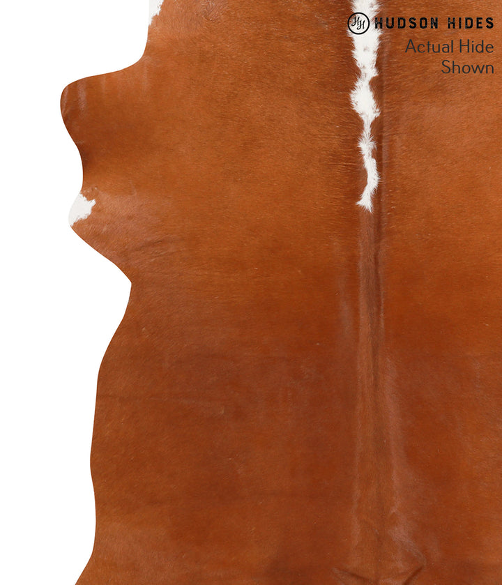 Brown and White Regular X-Large Brazilian Cowhide Rug 7'0"H x 5'10"W #65764 by Hudson Hides
