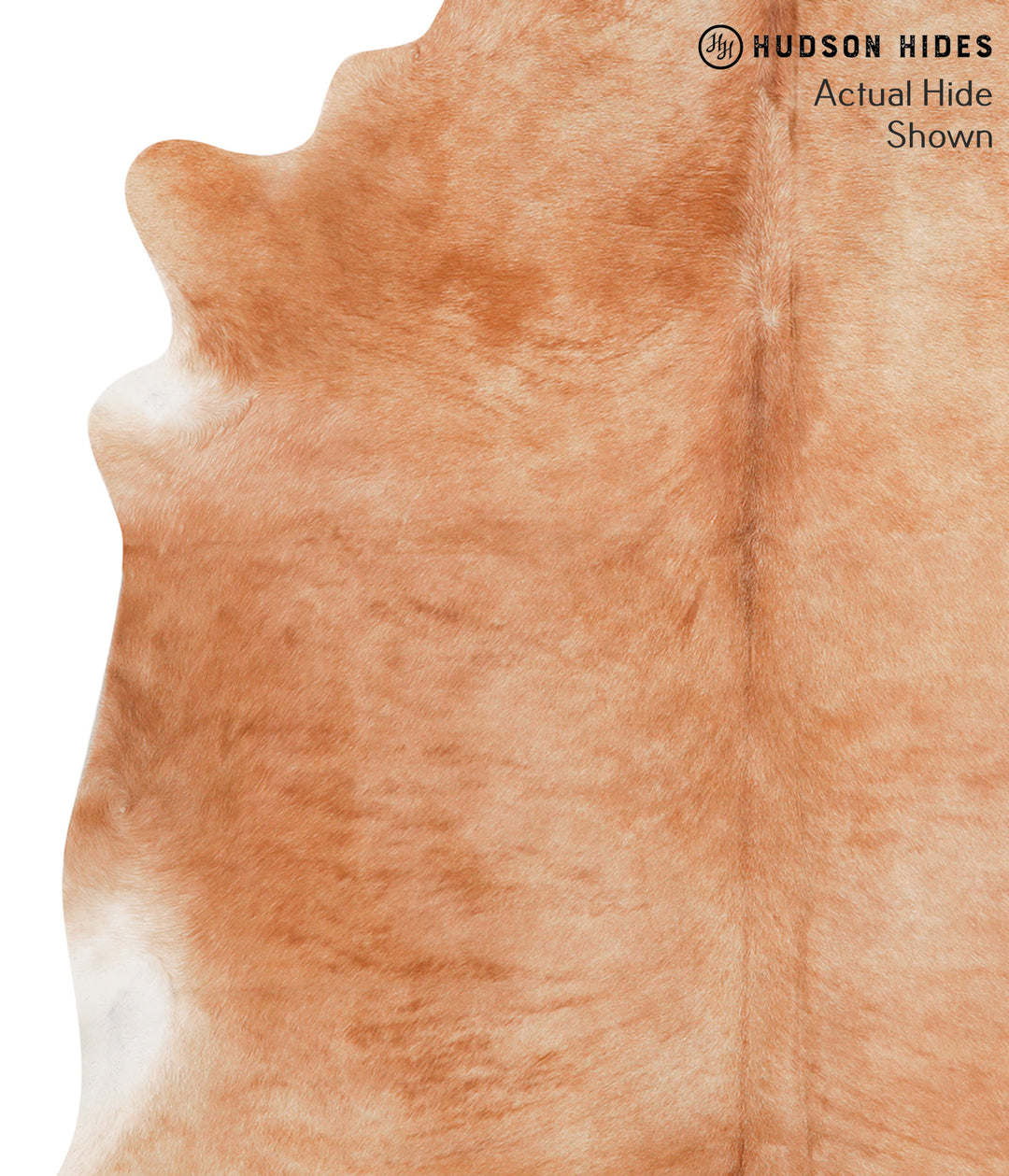 Solid Brown X-Large Brazilian Cowhide Rug 6'7"H x 6'7"W #65908 by Huds