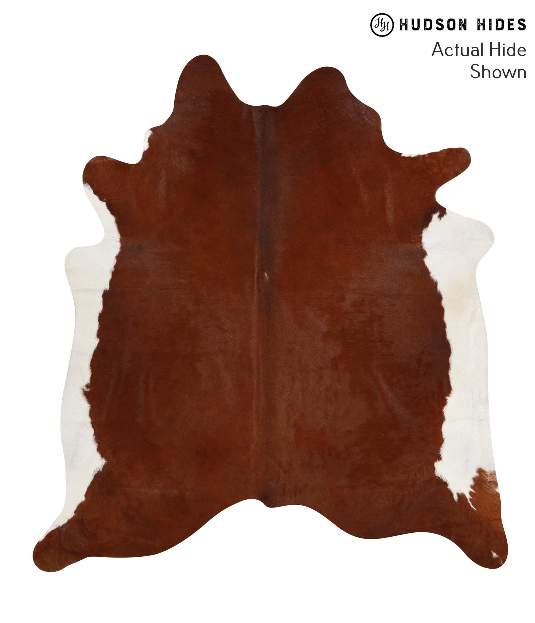 Brown and White Regular Cowhide Rug #66056
