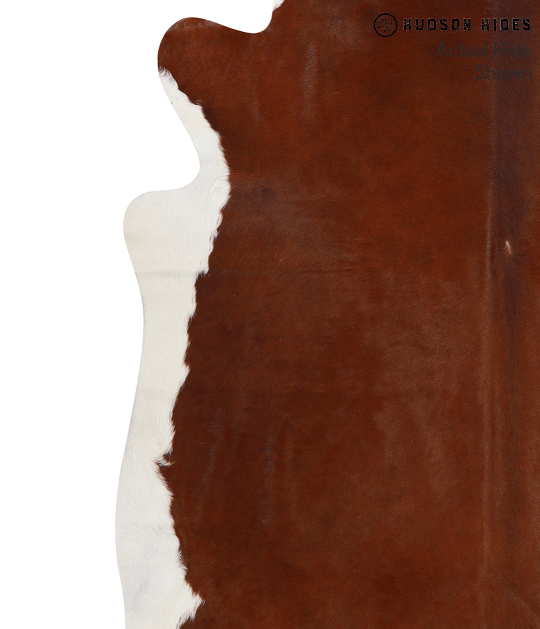 Brown and White Regular Cowhide Rug #66056