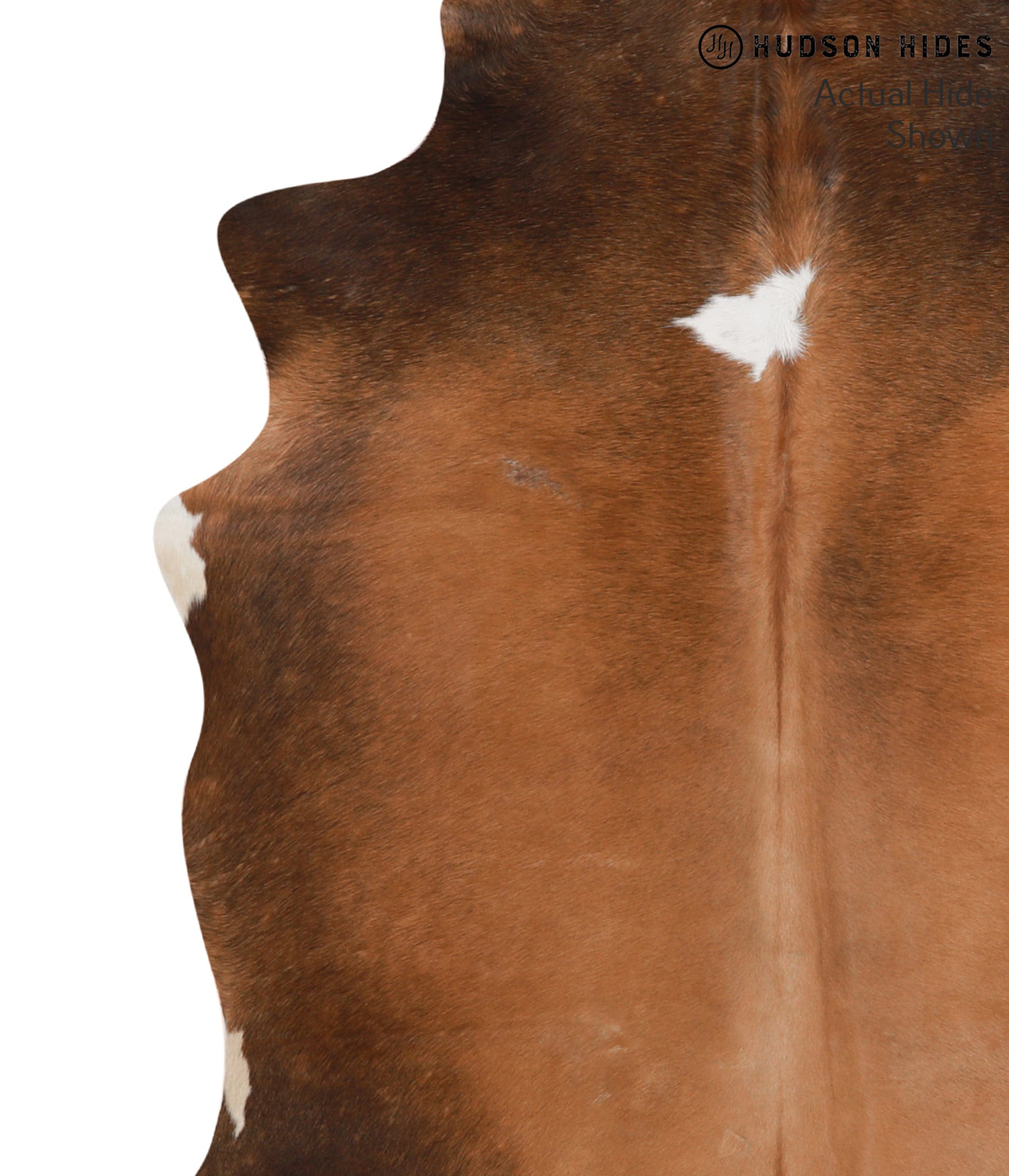 Brown with Red Cowhide Rug #66069