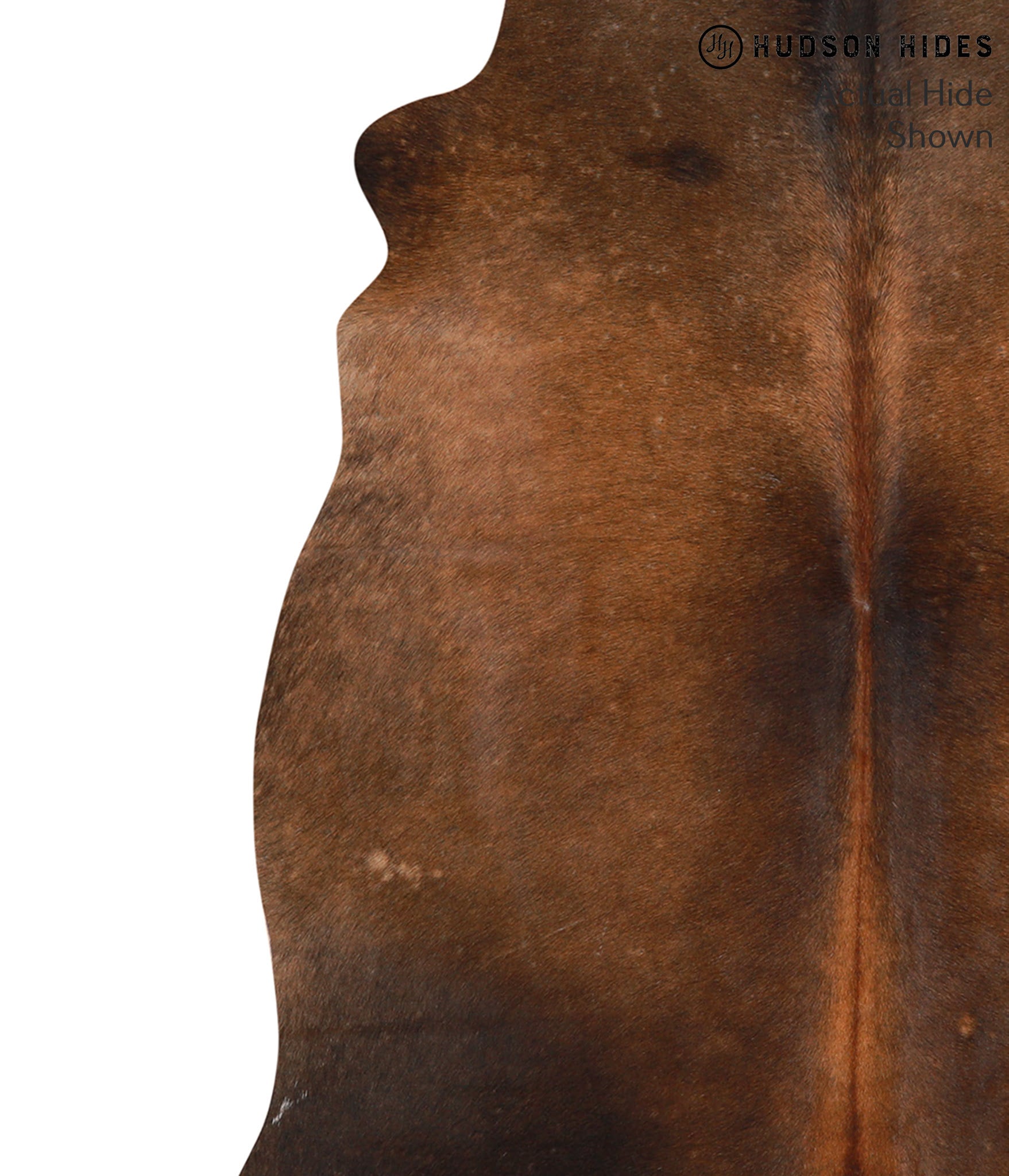 Brown with Red Cowhide Rug #66071
