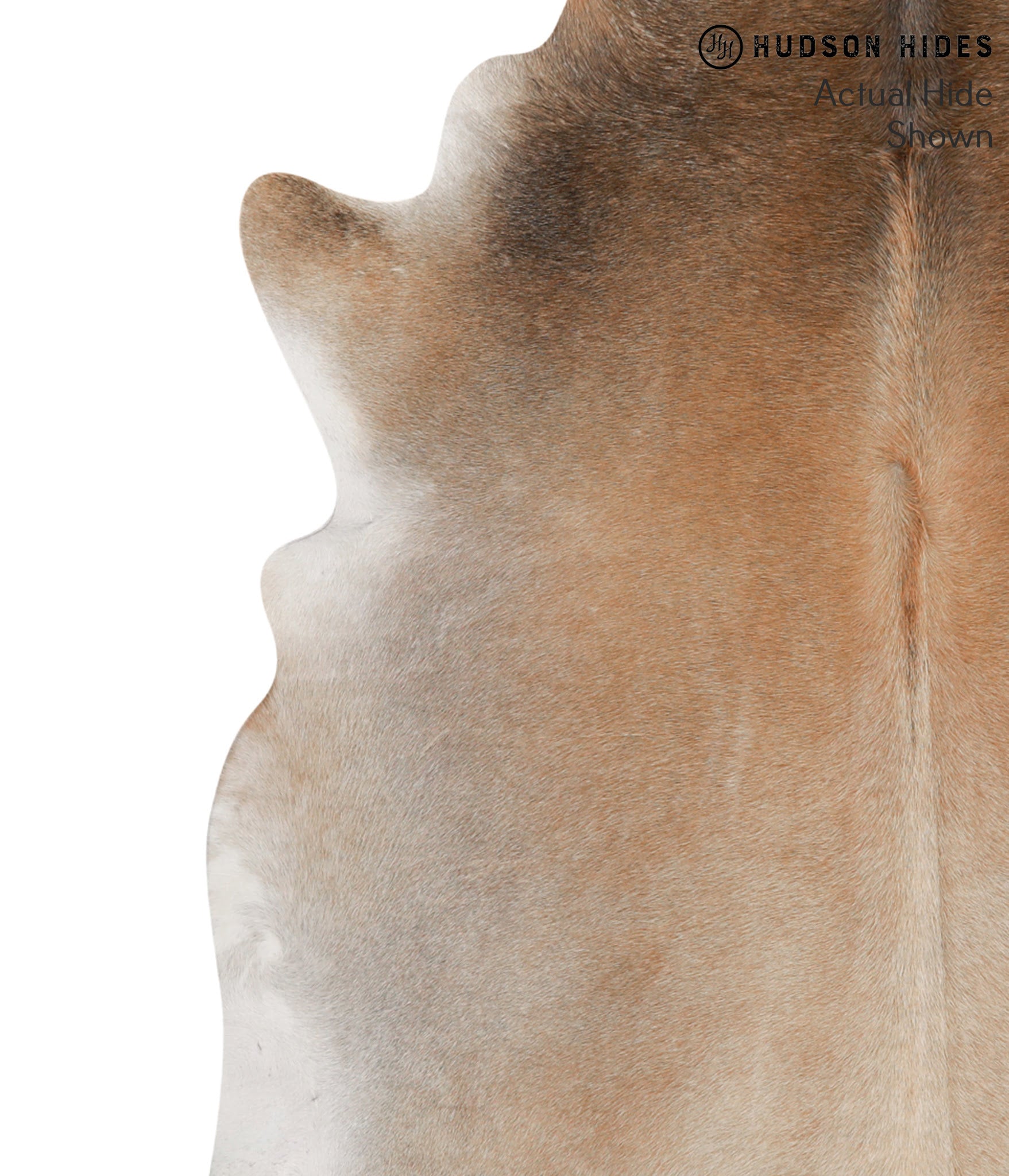 Grey with Beige Cowhide Rug #66096