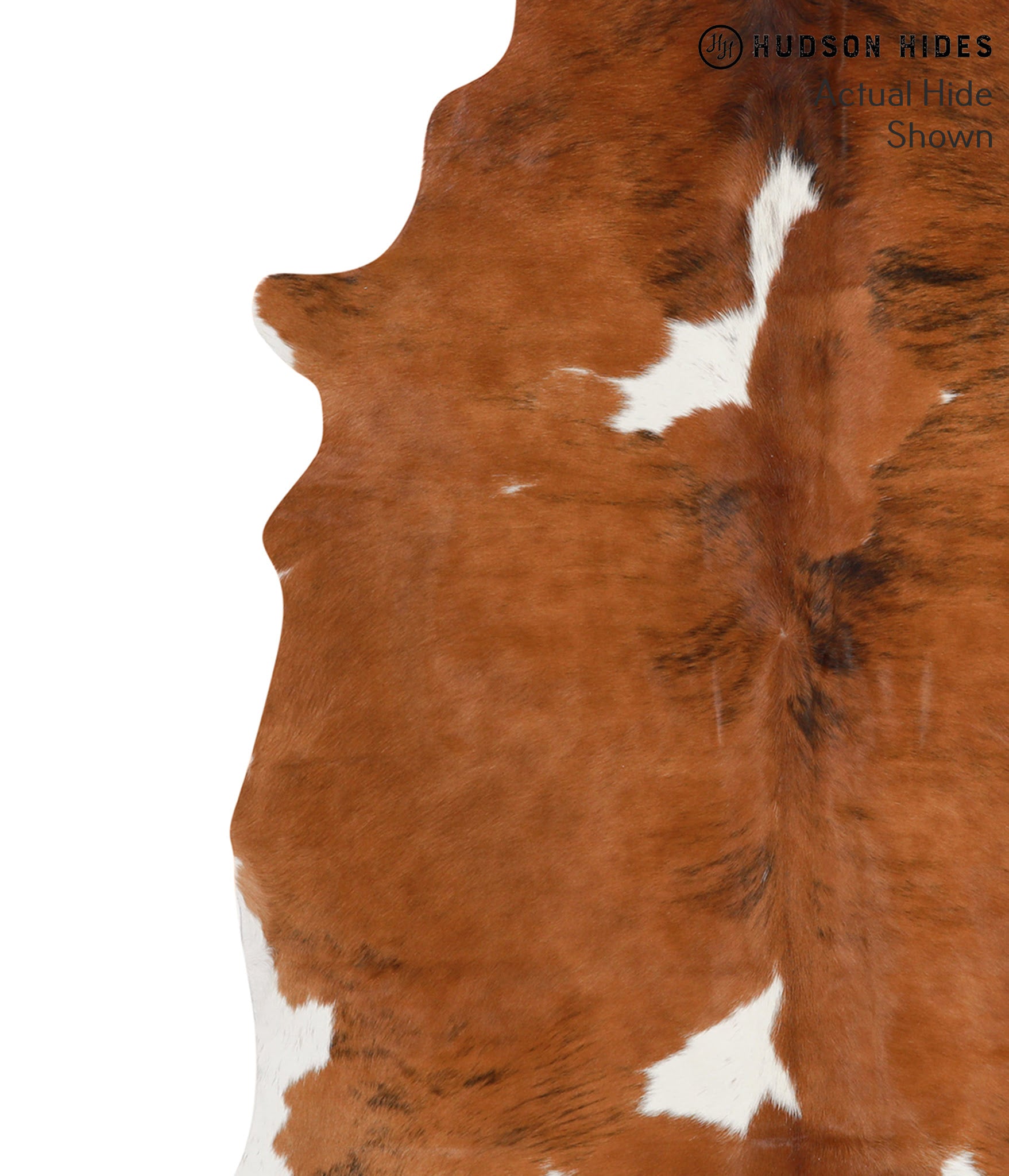 Brown and White Cowhide Rug #66125