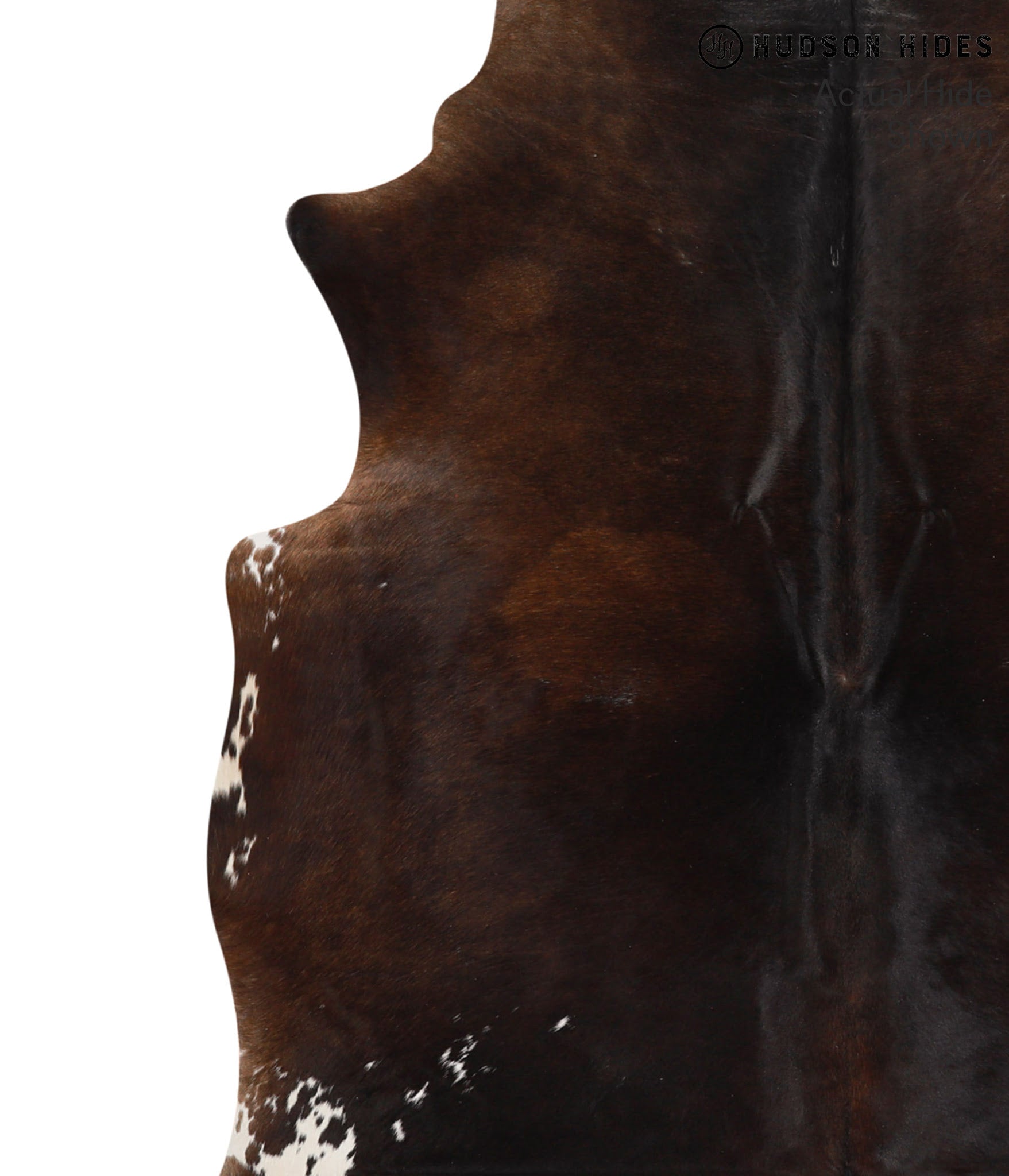 Chocolate and White Cowhide Rug #66130