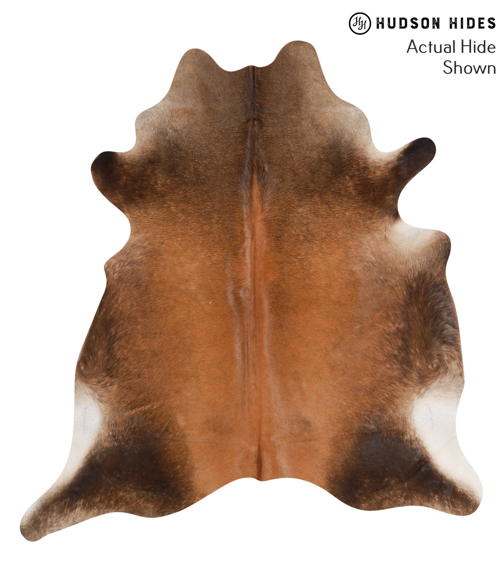 Brown with Red Cowhide Rug #66168