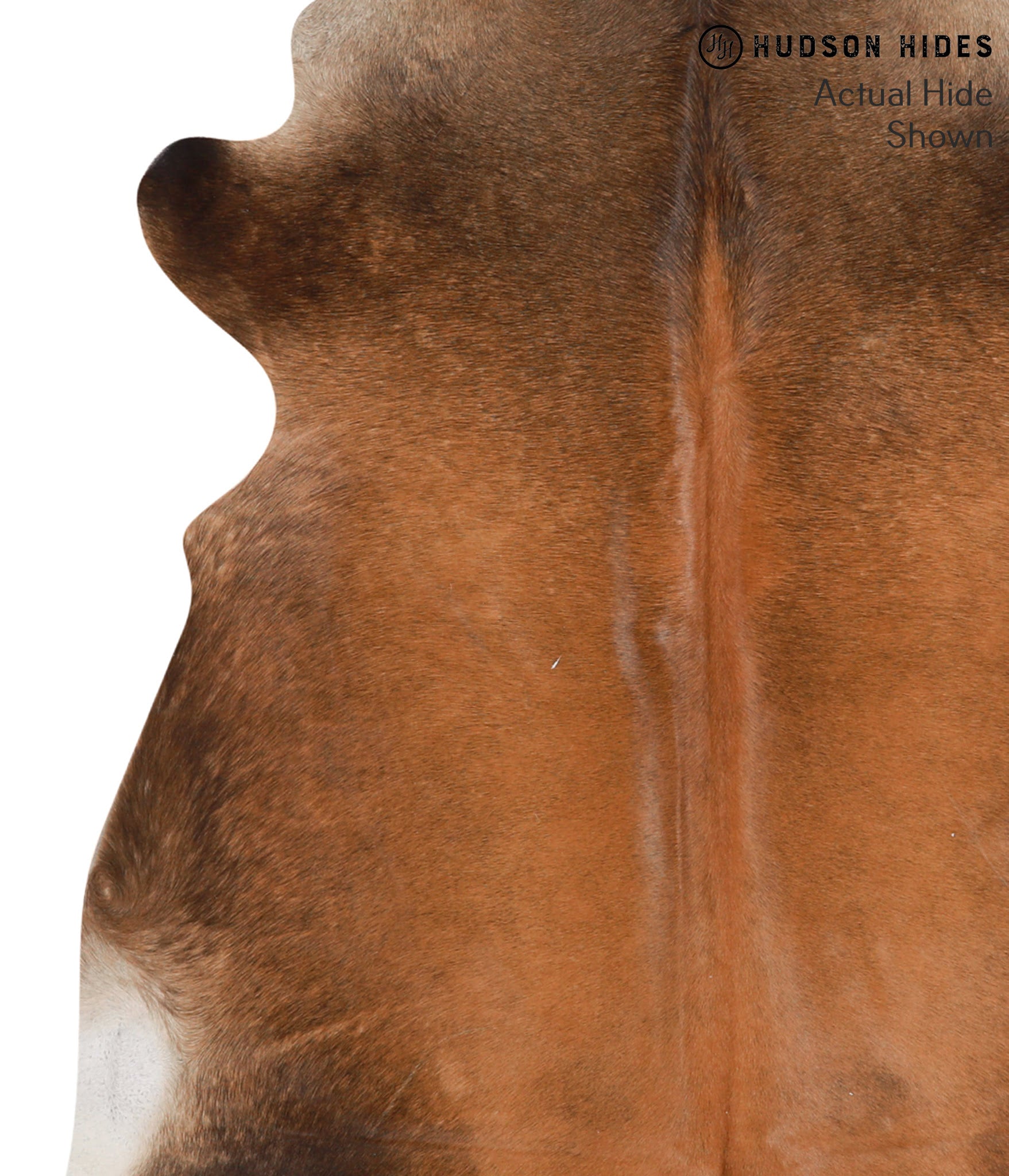 Brown with Red Cowhide Rug #66168