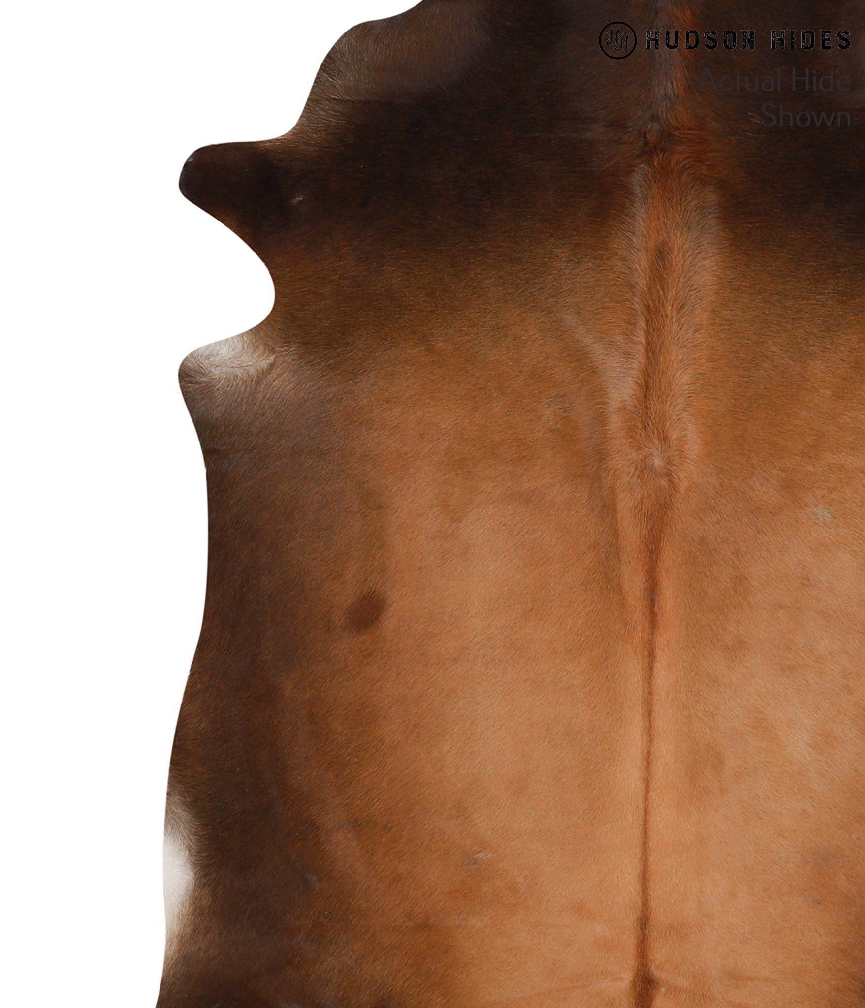 Brown with Red Cowhide Rug #66186