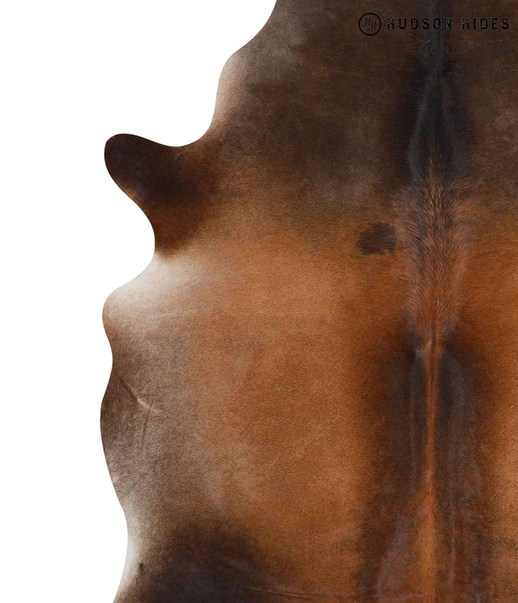 Brown with Red Cowhide Rug #66290