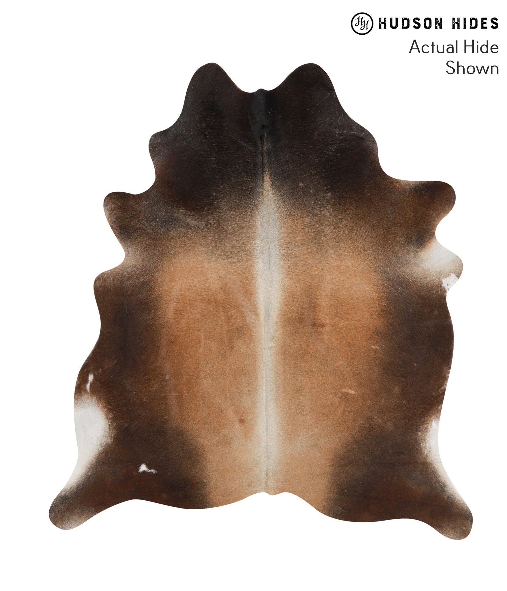 Brown with Red Cowhide Rug #66298